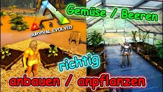 Gemüse richtig anbauen | ARK Survival Evolved Tutorial