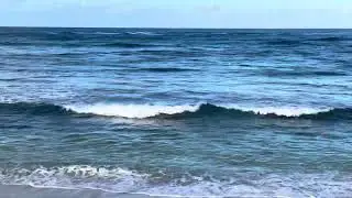 Roll with it. | Mindful Meditation | Calming Waves 26 | One Minute Calm