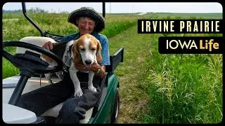 Irvine Prairie: Bringing Iowa’s Tallgrass Prairie Back to Life | Iowa Life