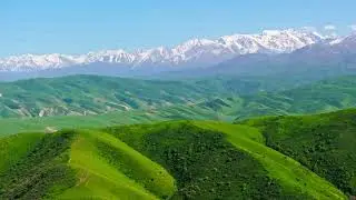 aerial view of grassy green hills in front of snowcapped mountain range at sunny spring day
