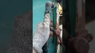 test aparat de taiat cu plasmă parkside pps40 B3
