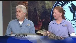 Southeastern Wildlife Expo