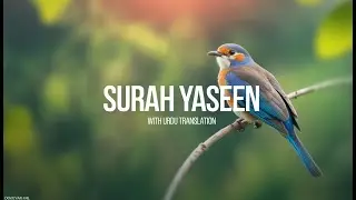 Surah Yasin | Relaxing Quran Recitation | Calm, Focus & Spiritual Peace