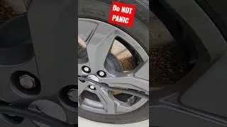 don't panic on rusty rotors #shorts #fordmustangmache #brakerotors #rust
