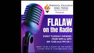2026 Florida Legislative Session Explained | Personal Injury, PIP, E-Bikes & Med Mal Reform | FLA...