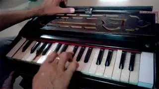 Bhairavi by Bharat Joshi.  Harmonium, (Instrumental Music) Indore, India.