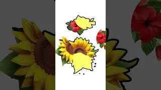 flower 🌺🌺Photo Challenge #viral #fbreels #BMW #viralvideo #trend #facebookreels #puzzle
