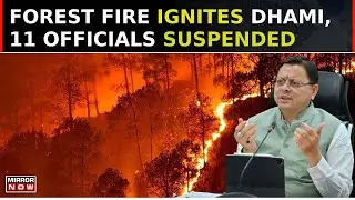 Uttarakhand Forest Fire: Dhami Govt Took Action Against 17 For Negligence, Suspends 11 Officials