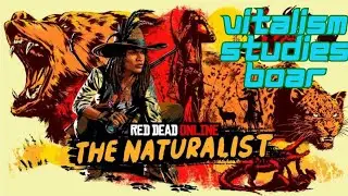 Red Dead Redemption 2 Vitalism studies Boar