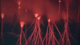 I Remember (Peligre Special closing remix) - deadmau5 and kaskade