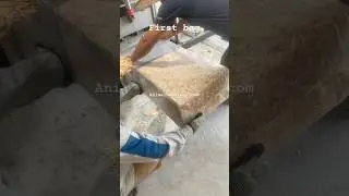 👀🇻🇳 Output baler machine #woodshavings #baggingmachine #bag