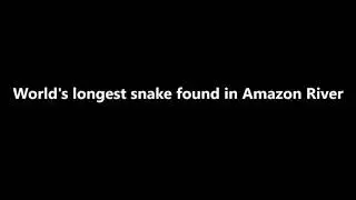 Gian Anaconda world's longest snake found in Amazon River