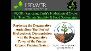 PQNK  Restoring Earth&rsquo;s Hydrological Cycle for True Climate Stability & Food Sovereignty