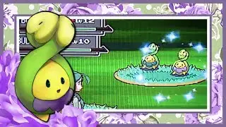 LIVE!! Shiny Budew in Platinum's Eterna Forest after 1457 REs