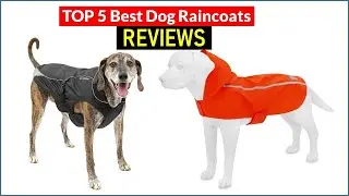 ✅ BEST 5 Dog Raincoats Reviews | Top 5 Best Dog Raincoats - Buying Guide