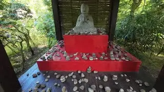 De japanse tuin en Langoed Clingendael 🥰