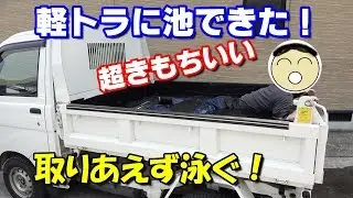 【メダカのビオトープ】泳いでみた？超ちもちいい～【軽トラメダカのビオトープ】