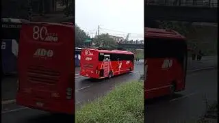 Autobuses de Oriente ADO VOLVO 9800 con destino a Poza Rica Veracruz