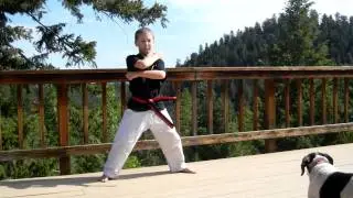 Jr. Leader -Paragon Martial Arts Conifer
