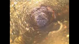 447 se 65th ave (bathroom sink vent)