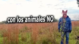 Salvando PERRITOS de una ASESINA