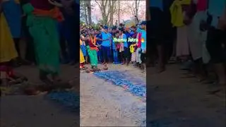 Jhamu Jatra #dandakali #dandanacha #viralvideo