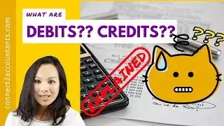 Debit Credit Explained by a CPA (Super Simple Definition)