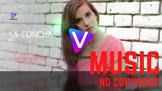 BLR - La  Concha [VisualizAtWorks - No Copyright Music]