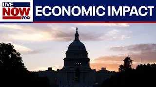 How does a government shutdown affect the economy?