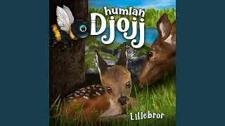 Lillebror