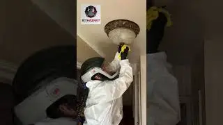 Helping Restore Safety & Peace!