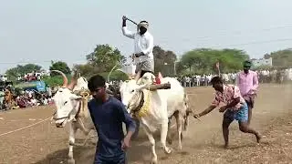 నారాయణపురం గిరాక బండి పోటీలు నిర్వహించడం జరిగింది 5 జత బర్మా రెడ్డి 1 st ప్లేస్ 🥇🏆