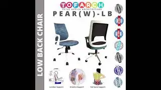 Best -ergonomic office chair with Lumbar Support  in Delhi NCR