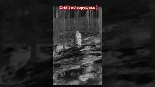 #війнавукраїні #зсу #перемога #fpv #тренд #youtube #новинки #military #дрони