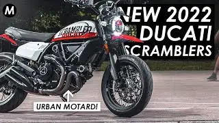 New 2022 Ducati Scrambler Urban Motard & Scrambler 1100 Tribute Pro Announced!