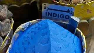 Rooted in Plants: Black History Month Indigo Dyeing
