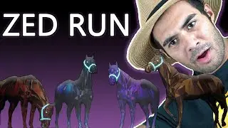 ZED RUN - 🐎 Make Money Racing Digital Horses on the Blockchain!