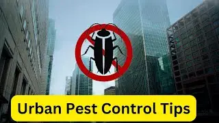 EASY Pest Control Method for Urban Area (100% NATURAL)