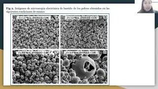 Secado por atomizaci&oacute;n de Opuntia stricta