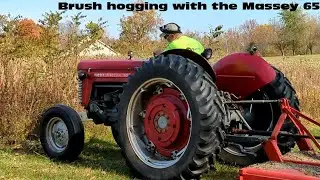 Brush hogging with the Massey 65