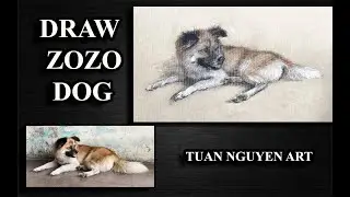 DRAW ZOZO DOG full - Tuan Nguyen ART