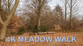 Beautiful Meadow Virtual Walk- 4K. Longwood Gardens Pennsylvania
