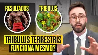 Tribulus Terrestris: Para Que Serve e Quais os Benef&iacute;cios