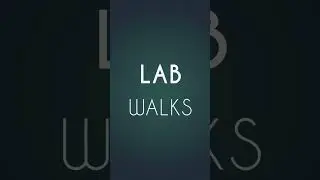 Lab Walks and Sci-Art