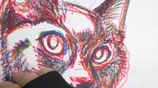 クレパスさんげんしょくお絵描き！新年明けましておめでとうございます！一発目モデルは黒猫ちゃん‼️