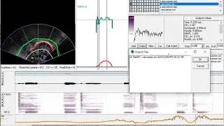 AAA219 How to import textgrid annotations