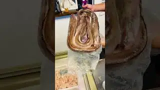 ПРИВОЗ В РЫБНОМ МАГАЗИНЕ, Кордова, Аргентина #аргентина #подорогедомой #кордова