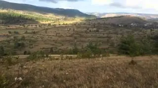 Chasse au lièvre du 6 Décembre 2015 avec des petits gascons saintongeois