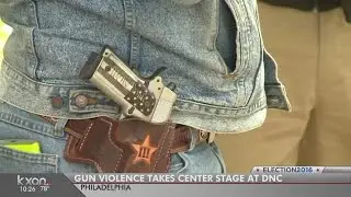 Texas Democrats at DNC make anti-gun stance clear