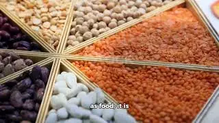 Classification of Vegetables According to Parts